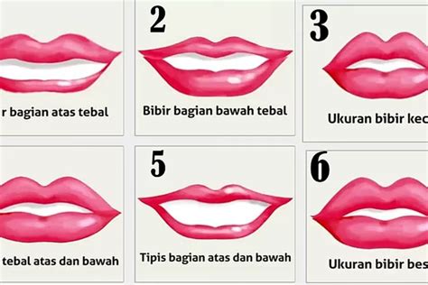 memeksiana|9 Bentuk Vagina Dilihat dari Posisi Labia (Bibir Vagina)